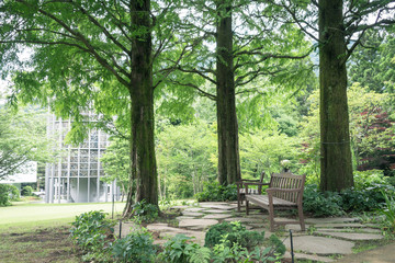 Scenery with the bench