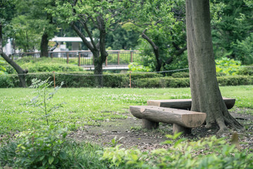 Scenery with the bench / Kyodo no mori