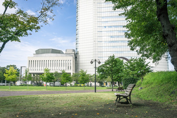 Scenery with the bench / Open space of the park