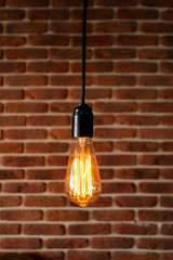 Decorative antique edison style light bulbs