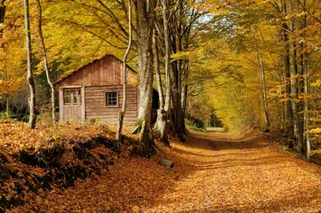 Fotobehang Herfst Alleen huis in de herfstberg