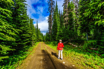 Senior Woman Hiking on Tod Mountain in the Shuswap Highlands of British Columbia, Canada