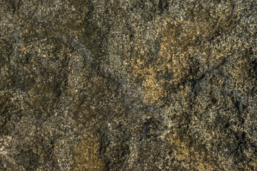 Water of the sea on rocks