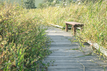 Scenery with the bench / Ukishimagahara nature park