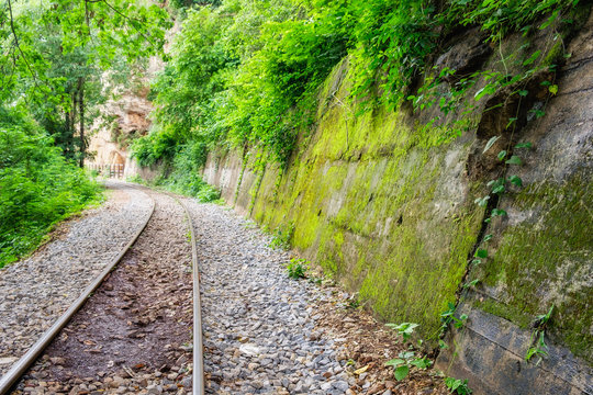 Railway track in verdant tropical rainforest