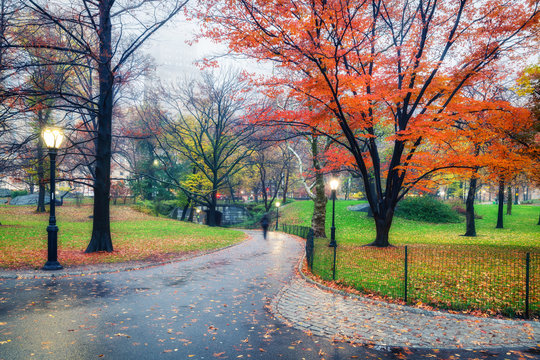 Central park at rainy day, New York City, USA