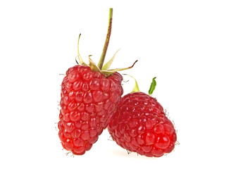 Ripe raspberries isolated on a white background, close up