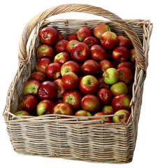 Basket with red apples on white background