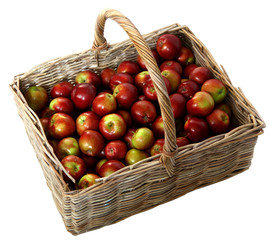 Basket with red apples on white background