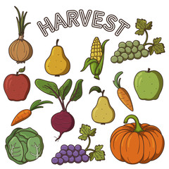 set of images / stickers on the theme of harvesting; set of illustrations fruits and vegetables
