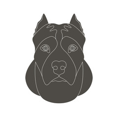 american staffordshire terrier head face vector illustration 