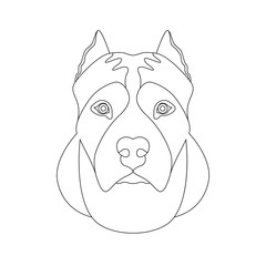 american staffordshire terrier head face vector illustration  coloring book