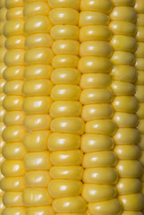 background of yellow fresh corn texture
