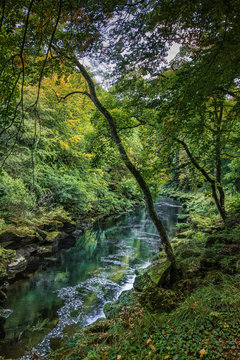river strid near Bolton Abbey in yorkshire, England   UK
