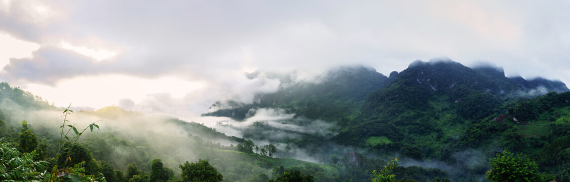 Fototapeta Doi Luang Chiang Dao with fog in the morning