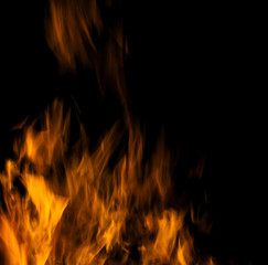 Fototapeta premium sparks of bonfire.