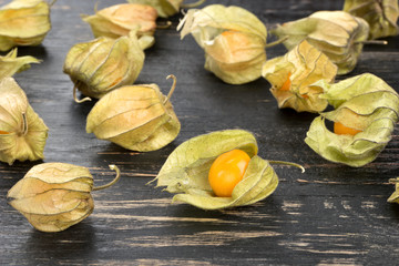 Fresh fruit physalis
