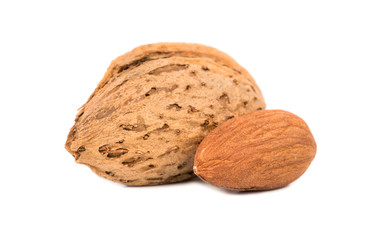 Nuts almond