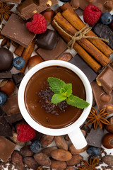 hot chocolate with mint in a cup and ingredients, vertical