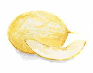 Fototapeta na wymiar Isolated watercolor yellow melon on white background. Fresh and sweet summer fruit. Organic and vegetarian nutrition.