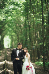 Happy wedding couple charming groom and perfect bride posing in park