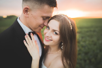 Wedding, Beautiful Romantic Bride and Groom Kissing  Embracing at Sunset