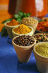 Collection of different spices in old clay bowls in colorful oriental style