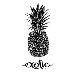 Image of black and white pineapple fruit  lettering exotic on  background. Print t-shirt, graphic element for your design. Vector illustration. - 121784303