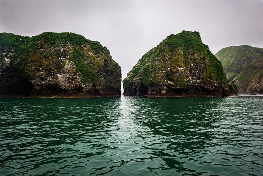 Green rocky cliffs form the coastline of the Avacha Bay, Kamchatka, Russia