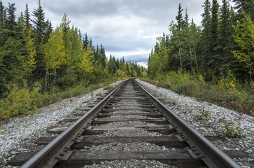 Fototapeta premium Rail road in a forest
