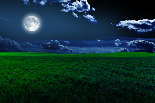 grass field at night