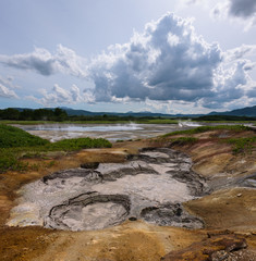 Hotsprings and mudpots between the vegetation of Uzon Caldera, Kamchatka, Russia
