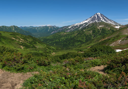 Panoramic view on the valley at the foot of Mutnovsky Volcano, Kamchatka, Russia