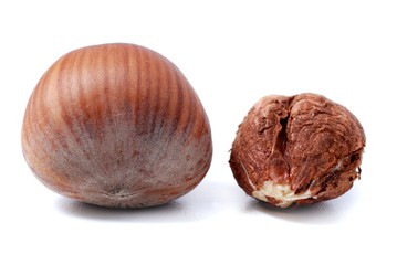 Hazelnuts isolated on white. 