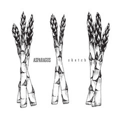 3 Bundle of asparagus of 3 and 2 stalks of asparagus vector isolated set black illustration sketch hand drawn on white background.