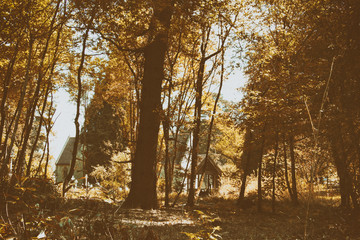 Church surrounded by trees in the woods