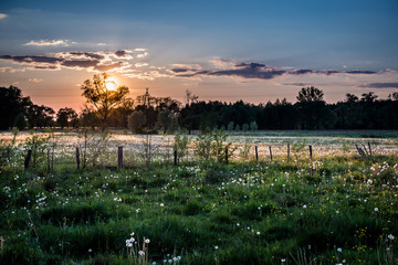 Fototapeta premium Meadow in Poland