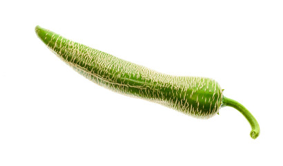 Organic Macedonian Fringed hot chili peppers with green stem.