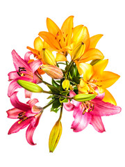 Obraz premium Flowers pattern with lilies isolated on white background
