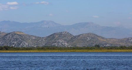 Skadar lake