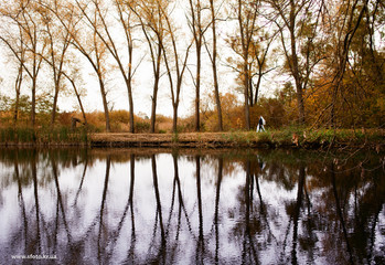 Obraz premium Bride and groom on the forest background