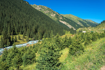 Landscape with mountain river.