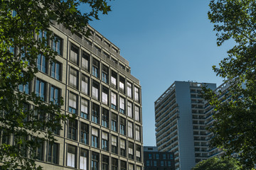 Fototapeta premium a row of office and finance buildings framed with beautiful green trees