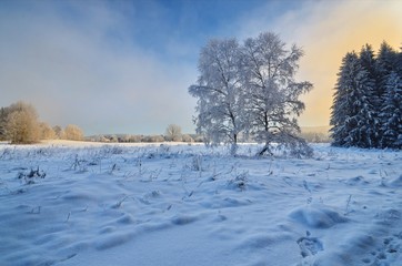 snowy mountain road