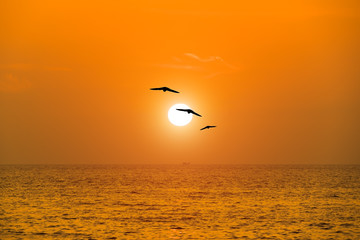 Fototapeta na wymiar View of beautiful sunset above the sea