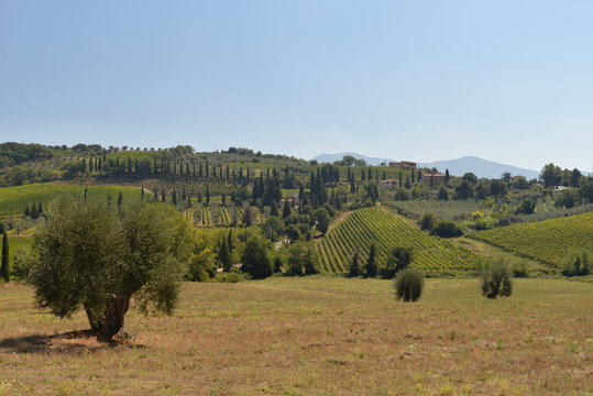 Paysage toscan