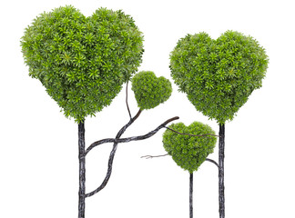 Tree in the shape of heart