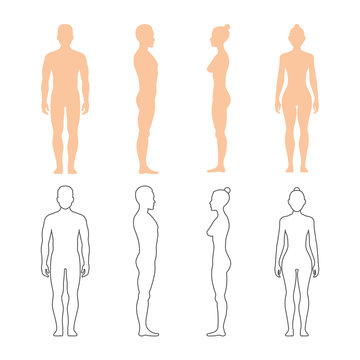 Male and female human vector silhouettes