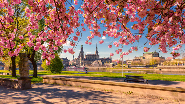 Dresden Frühling