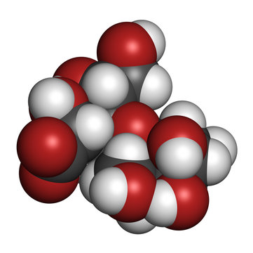 Lactobionic acid (lactobionate) molecule. 